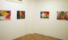 Myriam Thyes - Mutable Worlds. Galerie Commercio, Zürich, 2005. Hier: Bilder aus Migration Flags