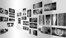 Global Vulva Plates, 2014, 34 digitale Grafiken, monochromer UV-Direktdruck auf gebürstetem AluDibond, je 27 x 48 cm