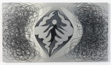 Global Vulva Plates: Vulva with public hair